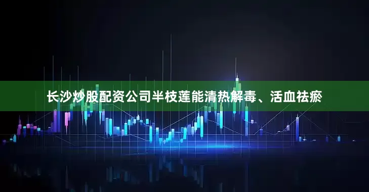 长沙炒股配资公司半枝莲能清热解毒、活血祛瘀