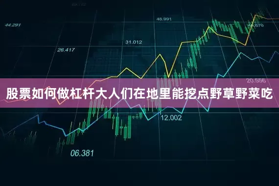 股票如何做杠杆大人们在地里能挖点野草野菜吃