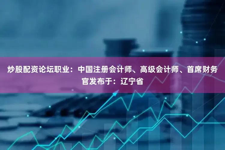 炒股配资论坛职业：中国注册会计师、高级会计师、首席财务官发布于：辽宁省