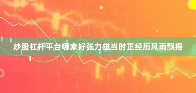 炒股杠杆平台哪家好张力雄当时正经历风雨飘摇