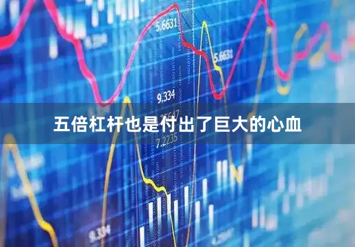 五倍杠杆也是付出了巨大的心血