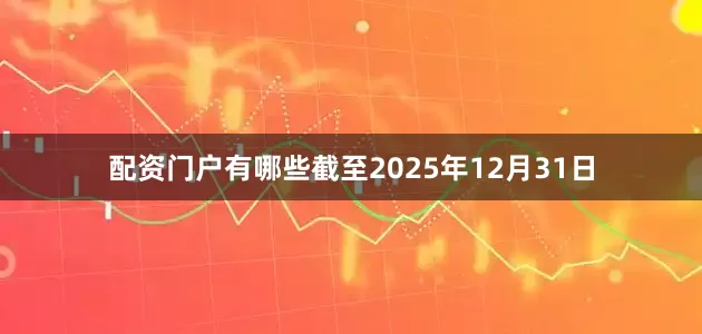 配资门户有哪些截至2025年12月31日