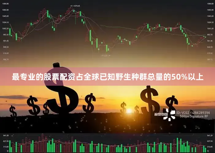 最专业的股票配资占全球已知野生种群总量的50%以上